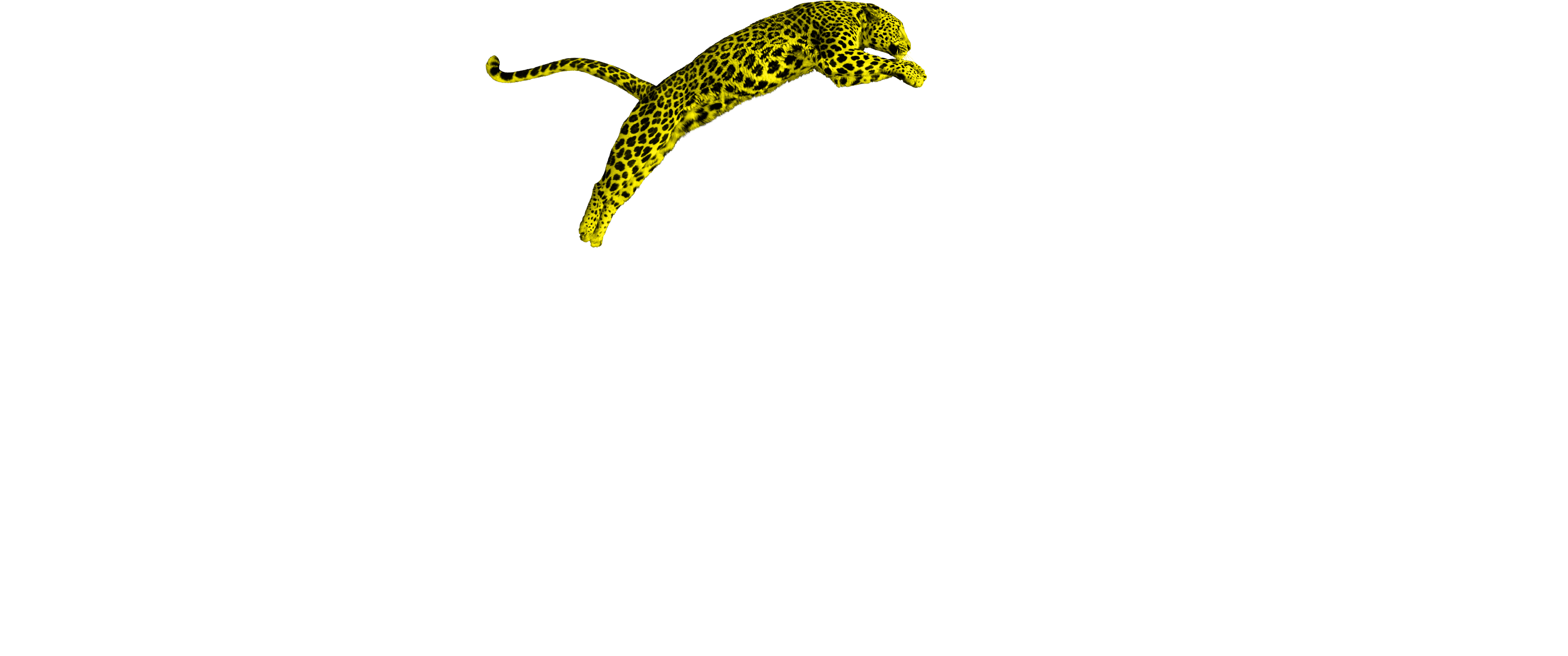 Locarno Film Festival Laurel